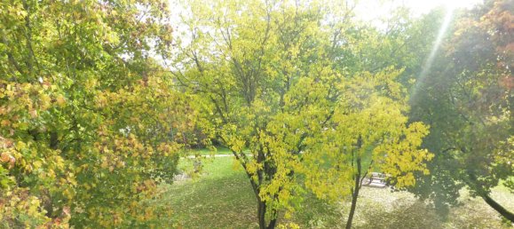 2 bedrooms Apartment in Pithiviers, France No. 96864 5