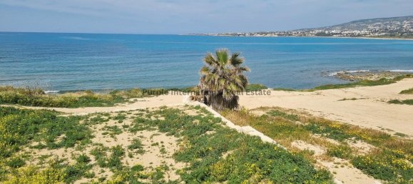 5 غرف نوم فيلا في Kissonerga, Cyprus رقم 1096 5