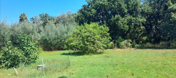 12-salle Maison à Castiglione del Lago, Italy No. 149523 16