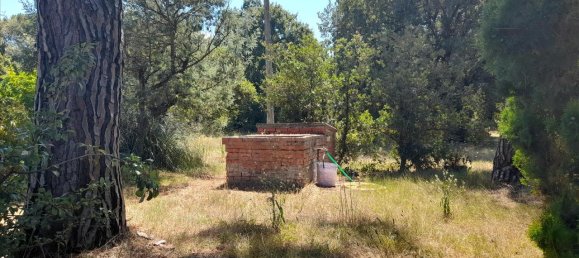 12-salle Maison à Castiglione del Lago, Italy No. 149523 22