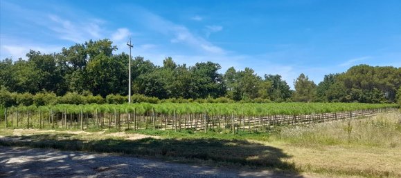 12-salle Maison à Castiglione del Lago, Italy No. 149523 11