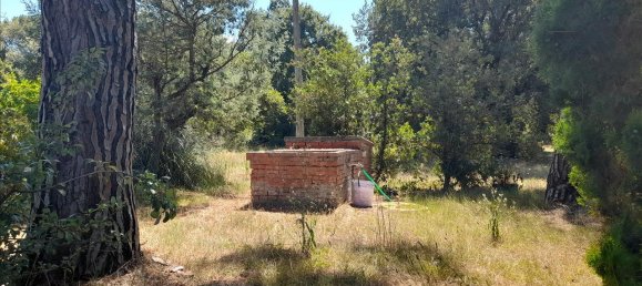 12-salle Maison à Castiglione del Lago, Italy No. 149523 9