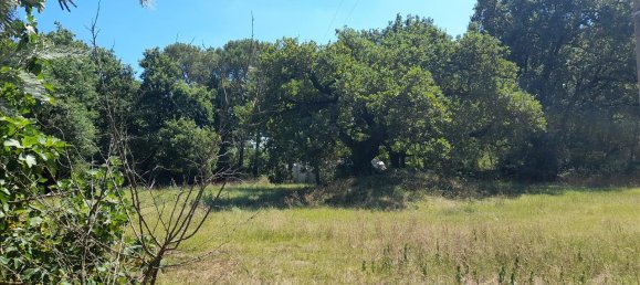 12-salle Maison à Castiglione del Lago, Italy No. 149523 30