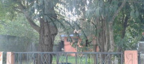 استوديو في Nuevo Leon, Mexico رقم 146048 2