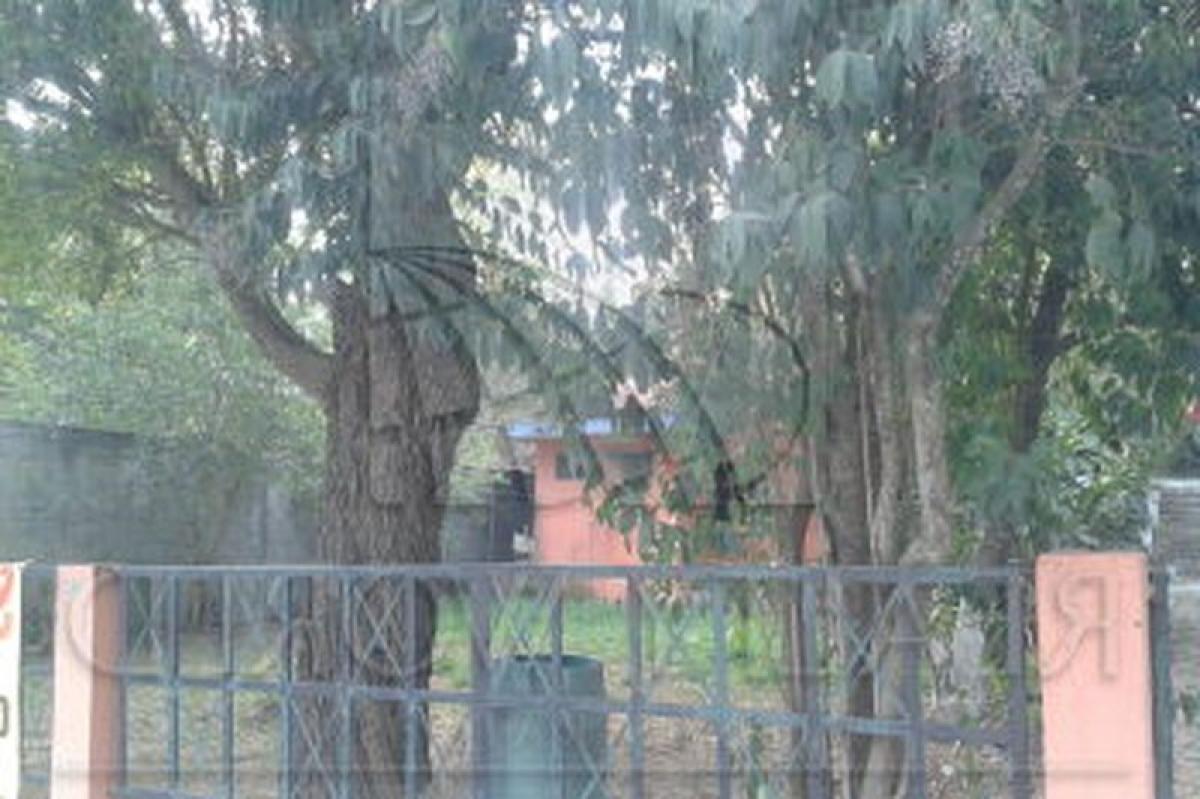 استوديو في Nuevo Leon, Mexico رقم 146048