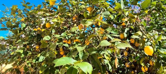 4 bedrooms Townhouse in Denia, Spain No. 185769 22