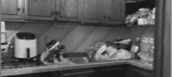 2 rooms Villa in Vicenza, Italy No. 296432 10