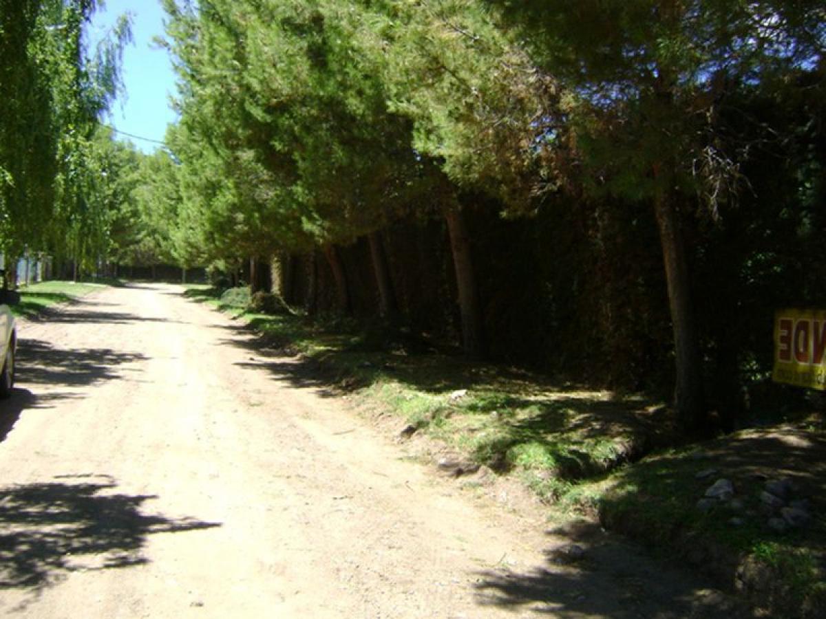  Land in San Luis, Argentina No. 34752