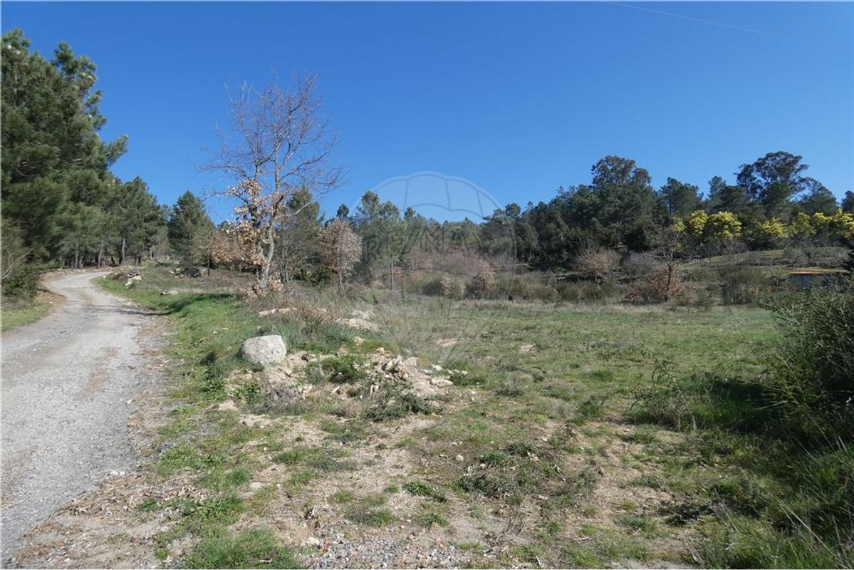 9656m² Land in Ferreirim, Portugal No. 90496