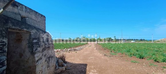 3-Zimmer Haus in Polignano a Mare, Italy, Nr. 30450 40