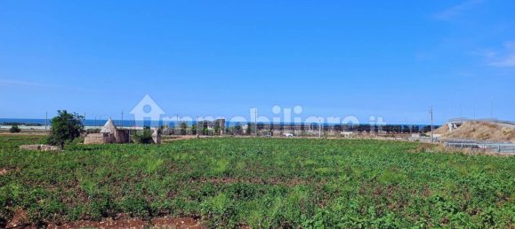 3-Zimmer Haus in Polignano a Mare, Italy, Nr. 30450 2