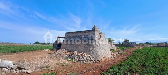 3-Zimmer Haus in Polignano a Mare, Italy, Nr. 30450 74
