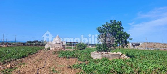 3-Zimmer Haus in Polignano a Mare, Italy, Nr. 30450 24