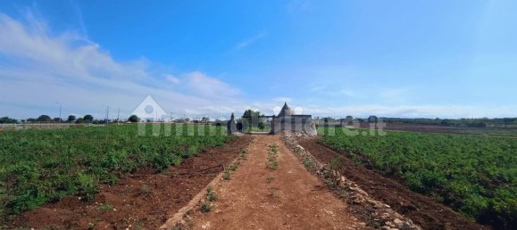 3-Zimmer Haus in Polignano a Mare, Italy, Nr. 30450 93