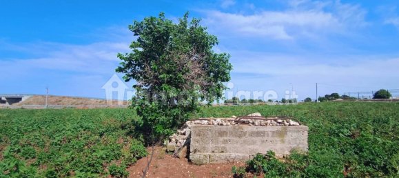 3-Zimmer Haus in Polignano a Mare, Italy, Nr. 30450 30