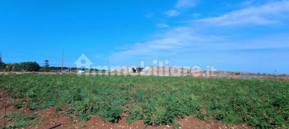 3-Zimmer Haus in Polignano a Mare, Italy, Nr. 30450 62