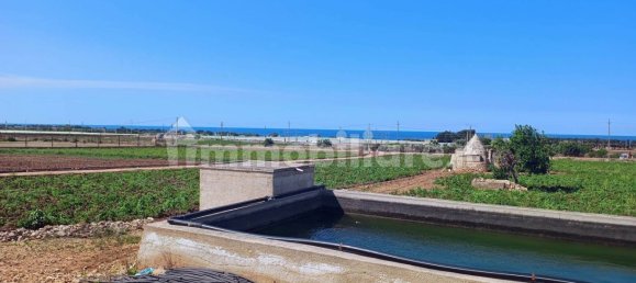 3-Zimmer Haus in Polignano a Mare, Italy, Nr. 30450 14