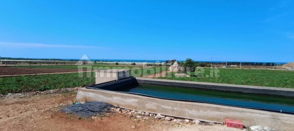 3-Zimmer Haus in Polignano a Mare, Italy, Nr. 30450 10