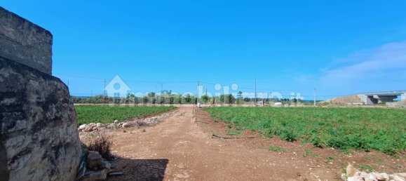 3-Zimmer Haus in Polignano a Mare, Italy, Nr. 30450 55