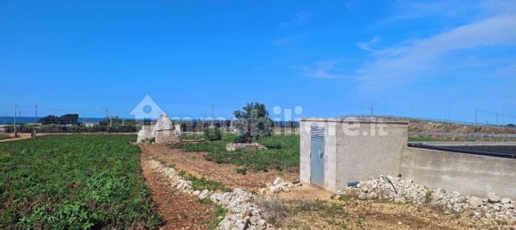 3-Zimmer Haus in Polignano a Mare, Italy, Nr. 30450 23