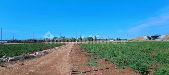 3-Zimmer Haus in Polignano a Mare, Italy, Nr. 30450 43