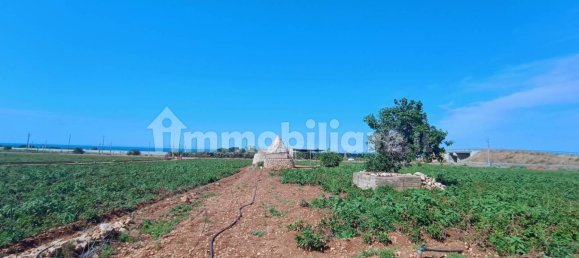 3-Zimmer Haus in Polignano a Mare, Italy, Nr. 30450 26