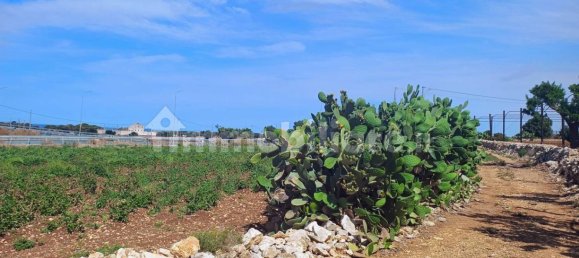 3-Zimmer Haus in Polignano a Mare, Italy, Nr. 30450 8