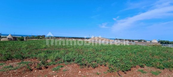 3-Zimmer Haus in Polignano a Mare, Italy, Nr. 30450 4