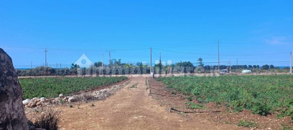 3-Zimmer Haus in Polignano a Mare, Italy, Nr. 30450 38