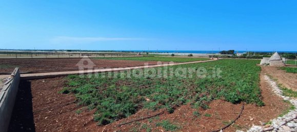 3-Zimmer Haus in Polignano a Mare, Italy, Nr. 30450 22