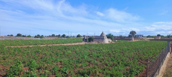3-Zimmer Haus in Polignano a Mare, Italy, Nr. 30450 83