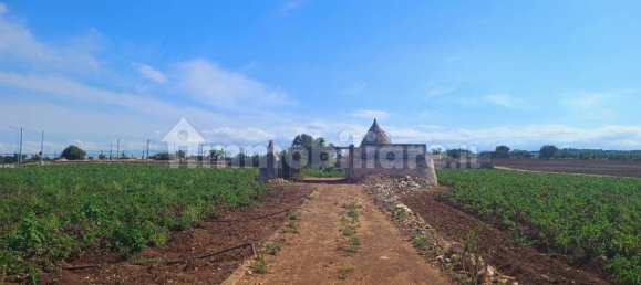 3-Zimmer Haus in Polignano a Mare, Italy, Nr. 30450 79