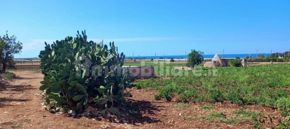 3-Zimmer Haus in Polignano a Mare, Italy, Nr. 30450 5