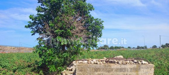 3-Zimmer Haus in Polignano a Mare, Italy, Nr. 30450 28