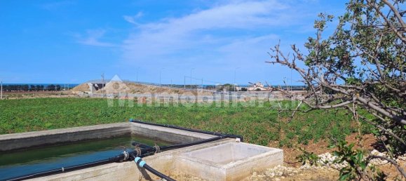 3-Zimmer Haus in Polignano a Mare, Italy, Nr. 30450 15