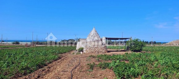 3-Zimmer Haus in Polignano a Mare, Italy, Nr. 30450 32