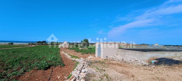 3-Zimmer Haus in Polignano a Mare, Italy, Nr. 30450 19