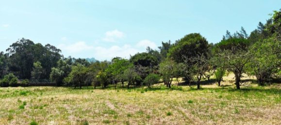 5 bedrooms House in Sintra, Portugal No. 137861 30