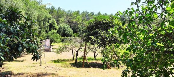 5 bedrooms House in Sintra, Portugal No. 137861 26