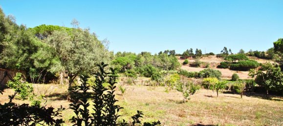 5 bedrooms House in Sintra, Portugal No. 137861 28