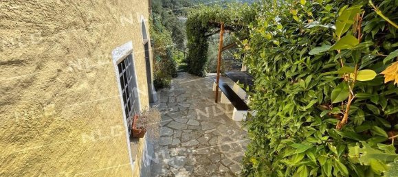 6 rooms Villa in Cogorno, Italy No. 155812 41