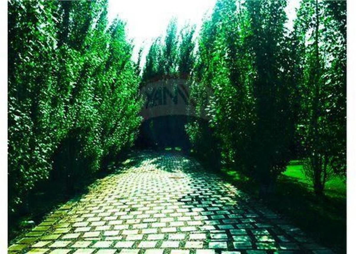 4 bedrooms House in Brandsen, Argentina No. 61767