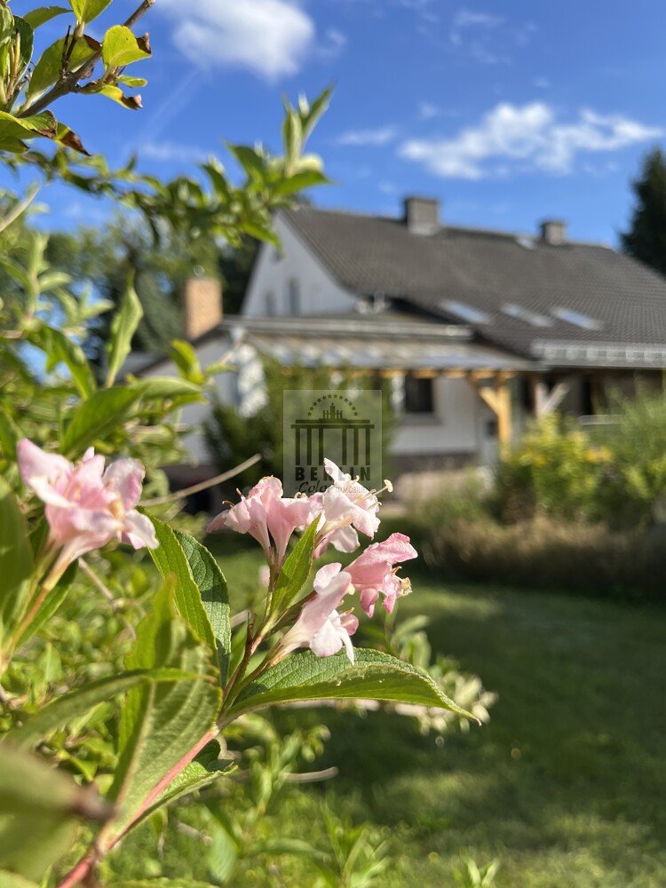 Moradia em banda de 5 divisões em Oder-Spree, Germany N.º 289143