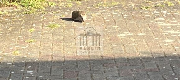 Moradia em banda de 5 divisões em Oder-Spree, Germany N.º 289143 4