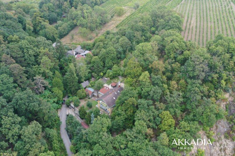 Casa de 11 habitaciónes en Dobling, Austria No. 235096