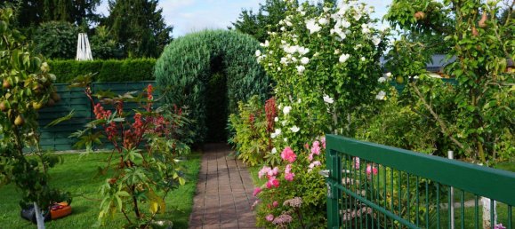 1 Schlafzimmer Bungalow in Teltow-Fläming, Germany, Nr. 331319 11