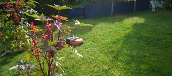 1 Schlafzimmer Bungalow in Teltow-Fläming, Germany, Nr. 331319 12