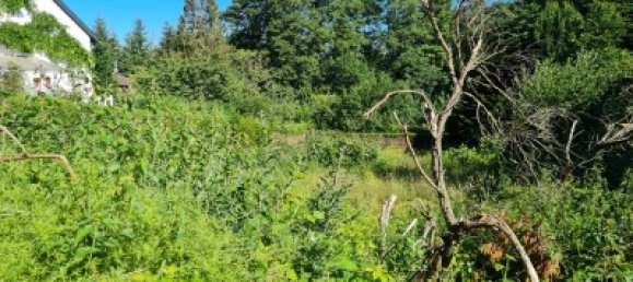 Terreno en Heinsberg, Germany 814 m² No. 167448 3