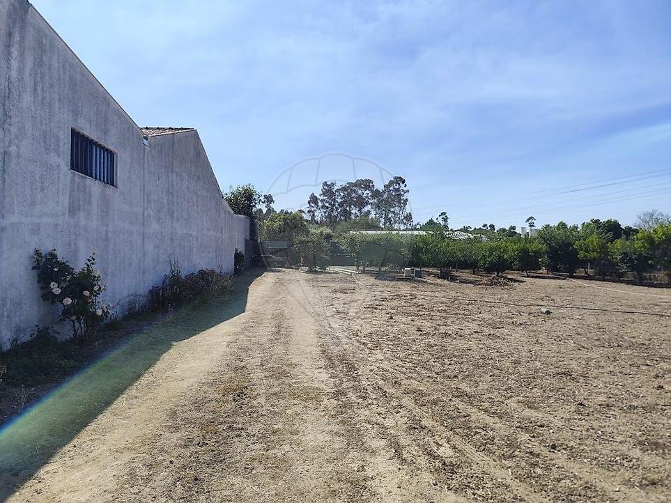 Земельный участок в Оливейра ду Байру, Португалия № 248874