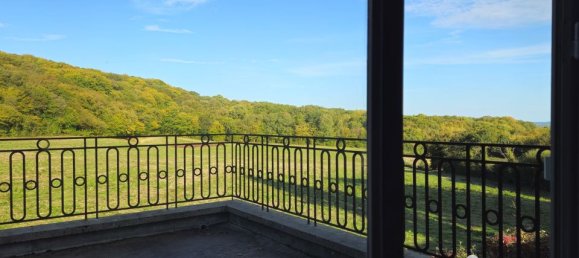 7-salle Maison à Sens-Beaujeu, France No. 221185 18